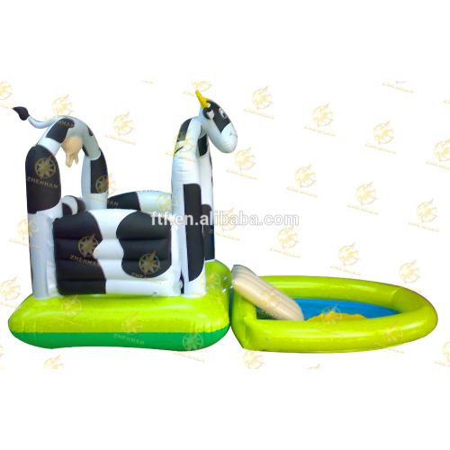 jumping Trampolines and kids castle dry